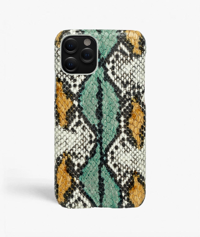 Hoesje iPhone 11 Pro Snake Aqua/Ocra