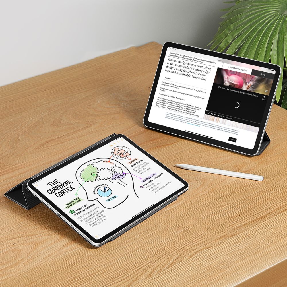 Rebound Magnetic Case iPad Pro 11 5th Gen (2024) zwart