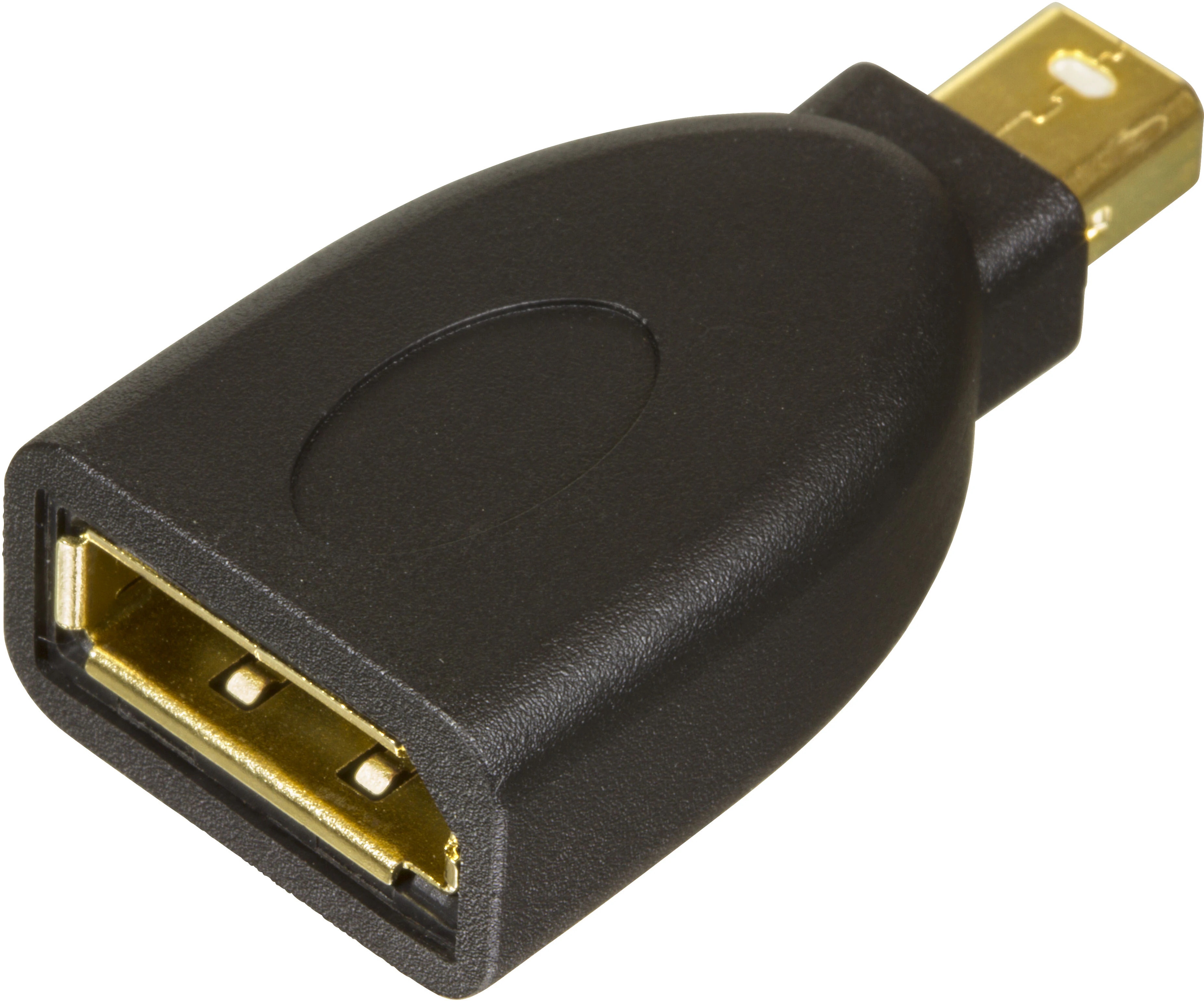 DisplayPort naar Mini DisplayPort Adapter zwart